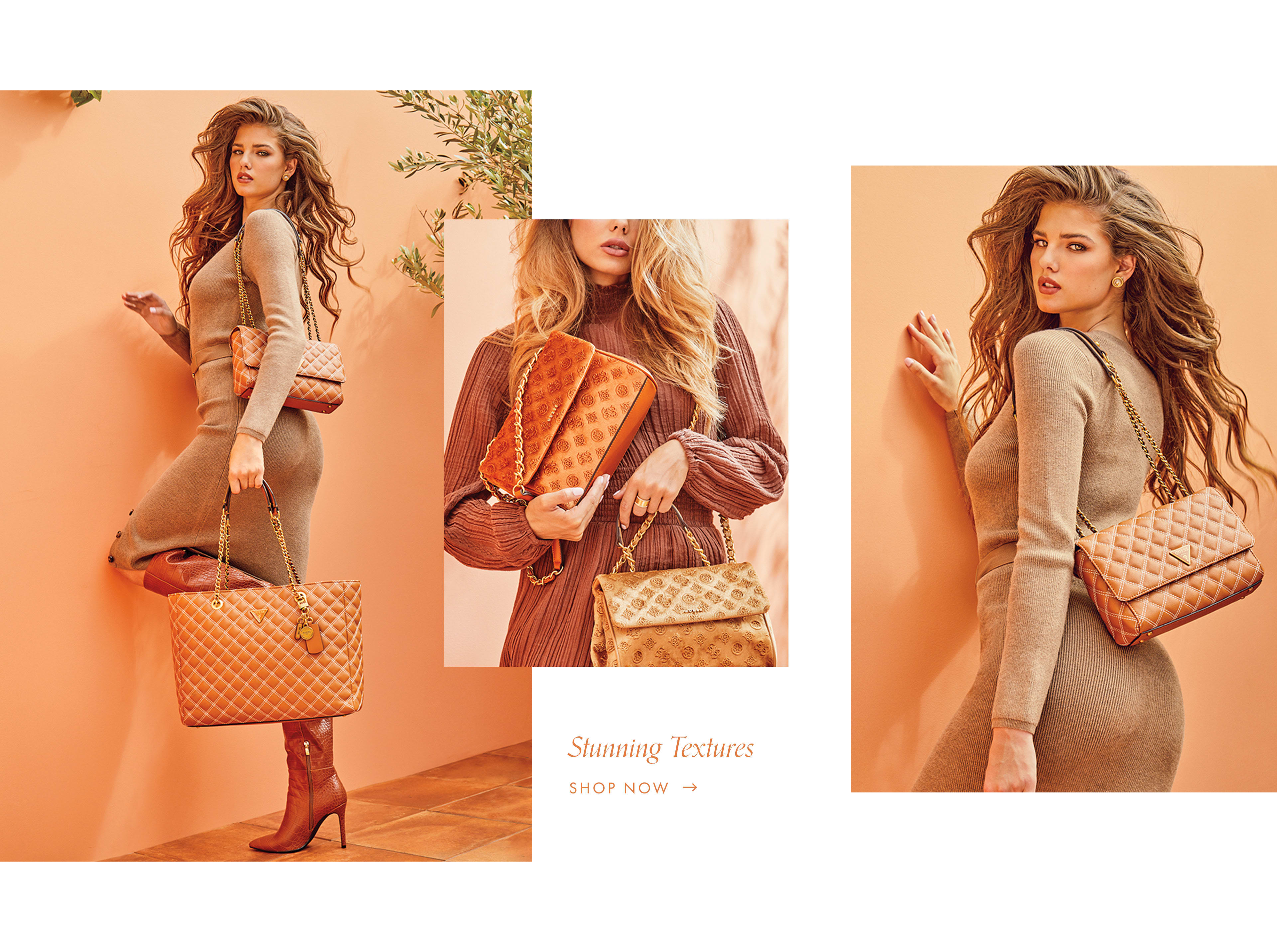 Handbag Campaign